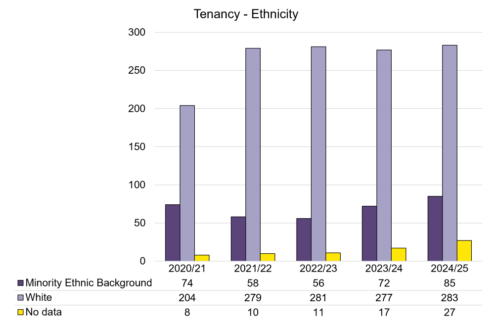 Tenancy - Ethnicty.png